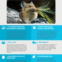 Портфолио Alexandra Holle